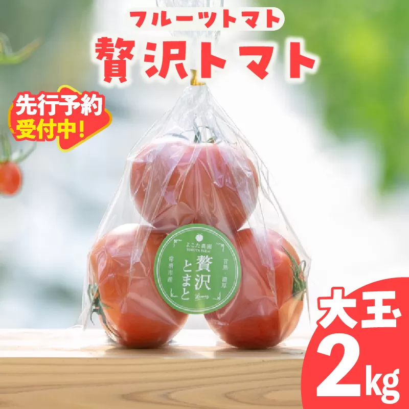 【先行予約】【2025年12月頃から順次発送】フルーツトマト　贅沢トマト2kg　よこた農園　大玉 贅沢トマト 野菜 トマト 新鮮野菜 太陽の恵み 大玉トマトトマト料理 愛知県産 フルーツとまと 甘いトマト お取り寄せ グルメ 常滑市
