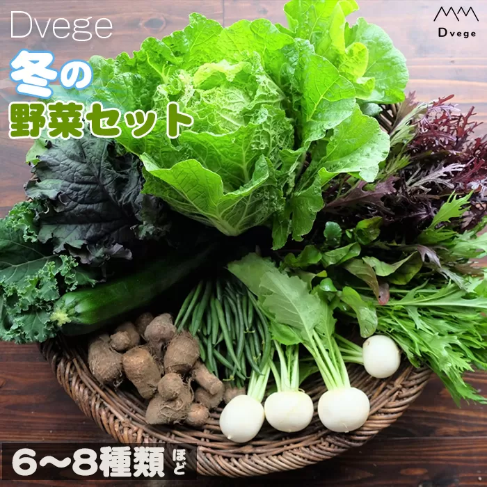 No.146 Dvegeの冬の野菜セット