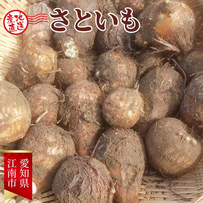 No.080 【先行受付】愛知県江南市産さといも5kg【2023年11月以降順次発送開始】