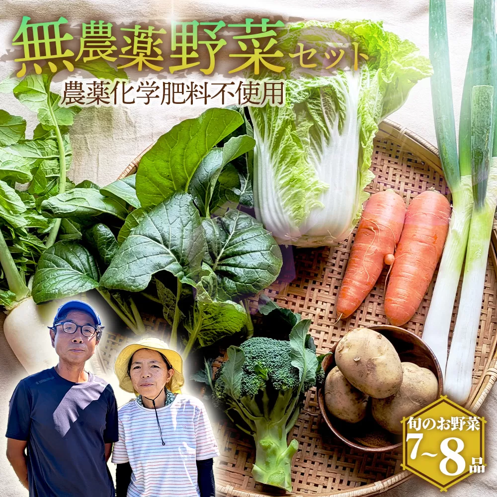 栽培期間中農薬化学肥料不使用　旬のココニコ無農薬野菜セット 7〜8品 ／ 野菜 やさい 新鮮 旬 採れたて おいしい 産地直送 産直 露地栽培 こだわり 定番野菜 伝統野菜 めずらしい野菜 フレッシュ 愛知県 No.272