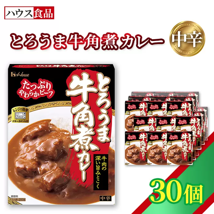 ハウス とろうま牛角煮カレー 中辛 30個 ／ レトルト カレー ハウス食品 レンジ 湯煎 湯せん 時短 簡単 簡単調理 防災食 長期保存 非常食 ローリングストック 災害 備蓄 常温保存 セット No.337-03