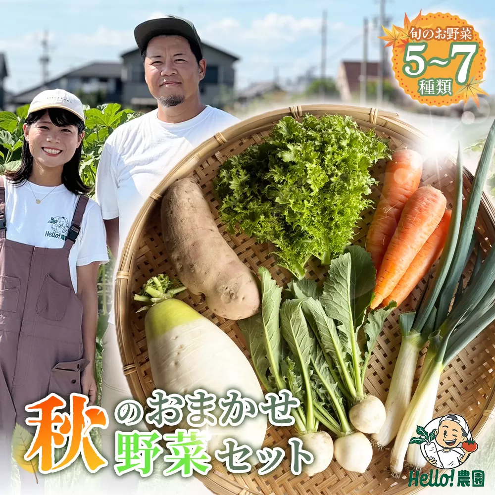 【Hello！農園 直送】秋のおまかせ野菜セット（5〜7品） 栽培期間中農薬・化学肥料不使用 ／ 野菜 やさい 新鮮 旬 採れたて おいしい 産地直送 産直 無農薬野菜 こだわり 定番野菜 めずらしい野菜 フレッシュ 愛知県 No.276