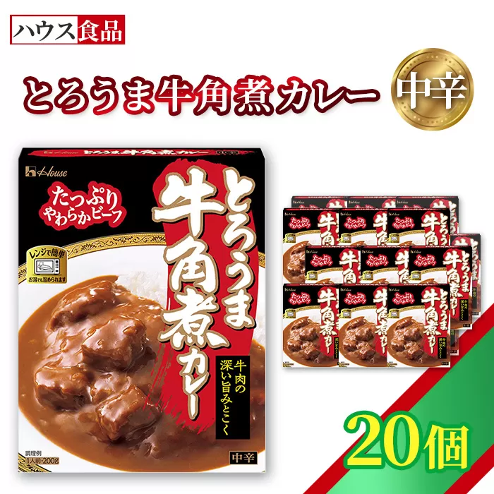 ハウス とろうま牛角煮カレー 中辛 20個 ／ レトルト カレー ハウス食品 レンジ 湯煎 湯せん 時短 簡単 簡単調理 防災食 長期保存 非常食 ローリングストック 災害 備蓄 常温保存 セット No.337-02