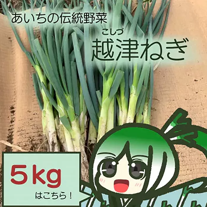 No.142 越津ねぎ　約5kg