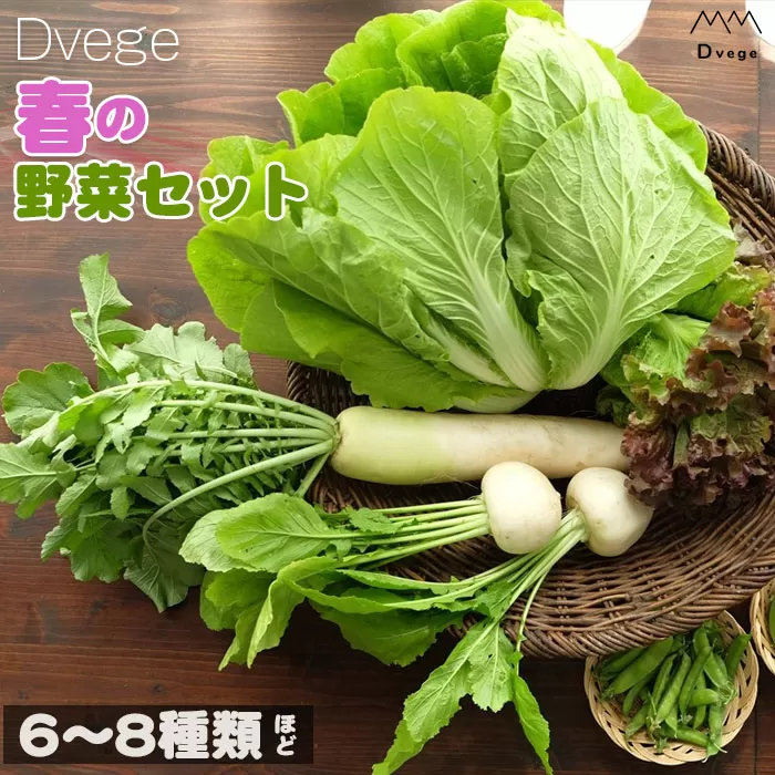 No.039 Dvegeの春の野菜セット