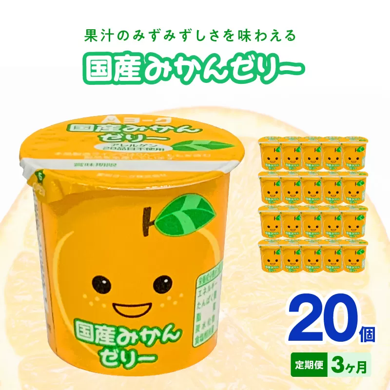 【3ヶ月定期便】愛知ヨーク　国産みかんゼリー　20個入［108A03-T］