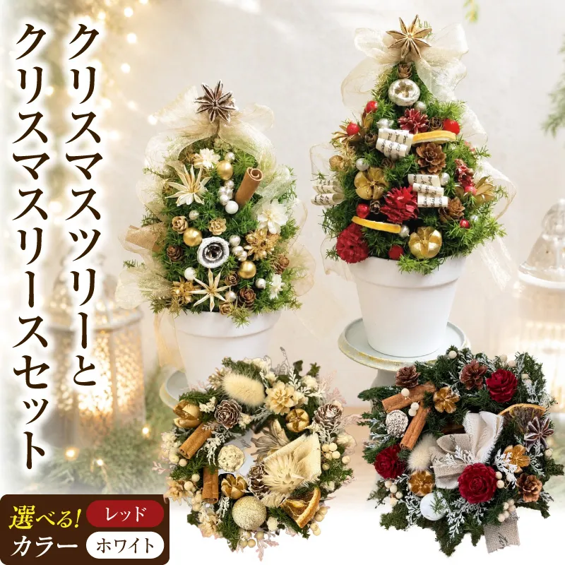 クリスマスツリーとクリスマスリース セット 選べる カラー レッド ホワイト 卓上クリスマスツリー ミニクリスマスリース プリザーブド  クリスマス インテリア クリスマス雑貨 ミニサイズ  プリザーブドフラワー 愛知県 小牧市 送料無料 ［133O19］ 
