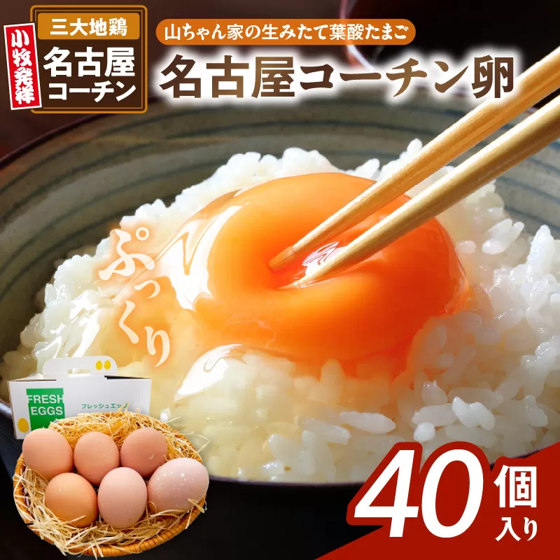 【山ちゃん家の生みたて葉酸たまご】名古屋コーチン卵（40個入り）［132Y02］名古屋コーチン 卵 たまご 朝食 卵料理 卵かけご飯 卵焼き 目玉焼き お取り寄せ 愛知県 小牧市