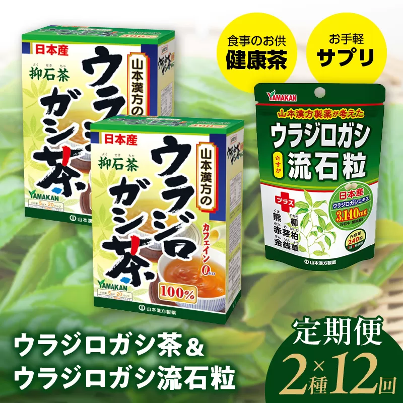 ＜12ヶ月連続＞ウラジロガシ茶＆ウラジロガシ 流石粒［027Y34-T］　山本漢方　定期便