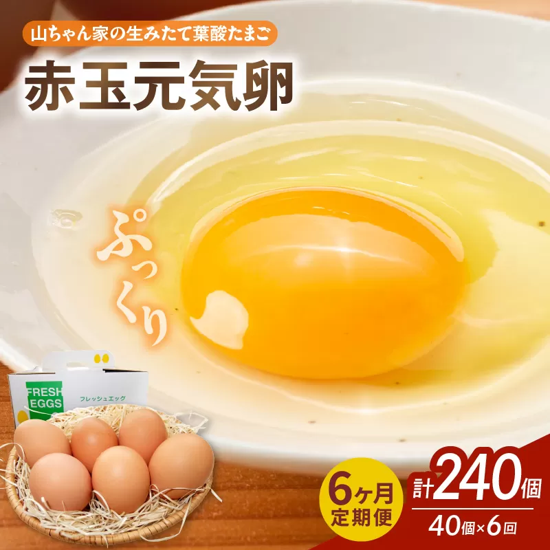 【6ヶ月定期便】【山ちゃん家の生みたて葉酸たまご】赤玉元気卵（40個入り）［132Y08-T］