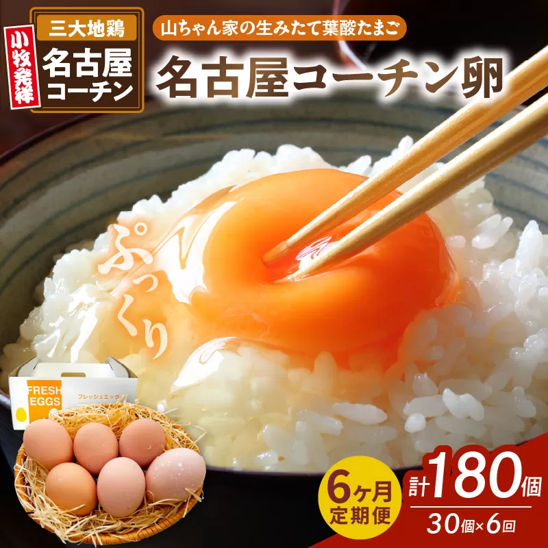 【6ヶ月定期便】【山ちゃん家の生みたて葉酸たまご】名古屋コーチン卵（30個入り）［132Y02-T］