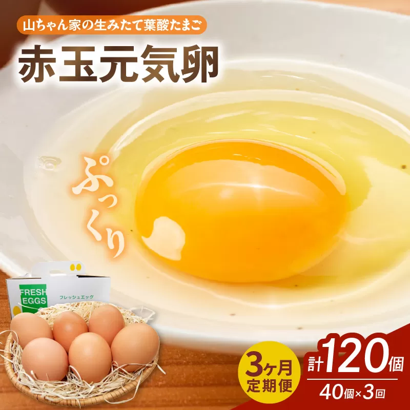 【3ヶ月定期便】【山ちゃん家の生みたて葉酸たまご】赤玉元気卵（40個入り）［132Y07-T］