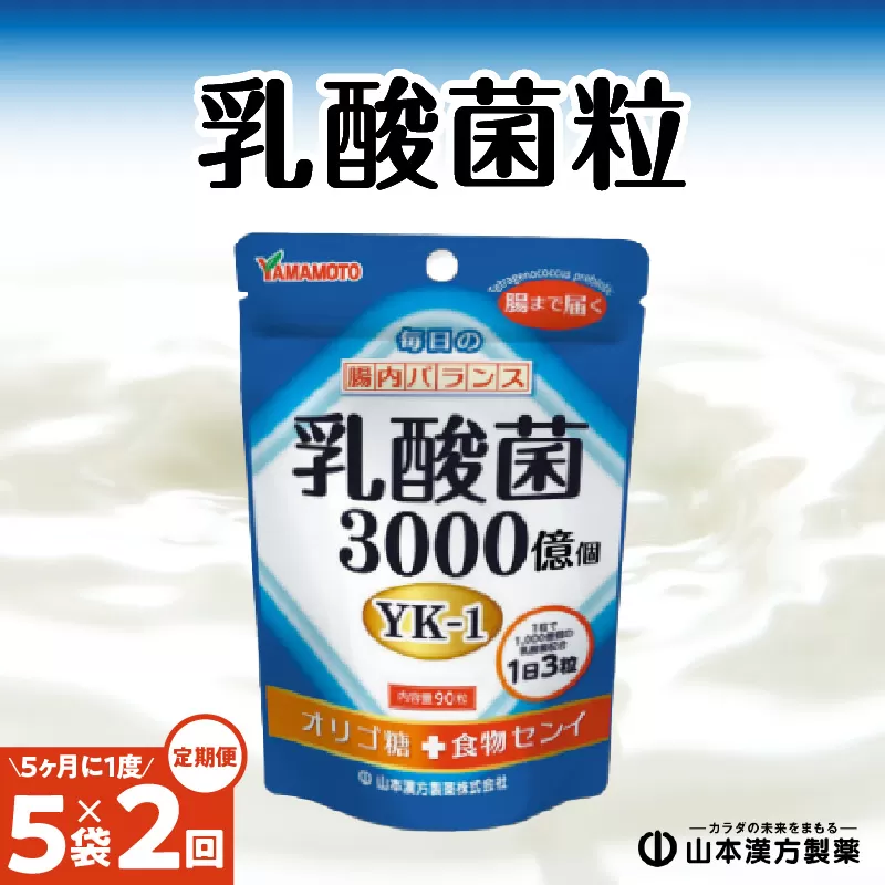 ＜5ヶ月に1度、2回送付＞乳酸菌粒［027Y25-T］　山本漢方　定期便
