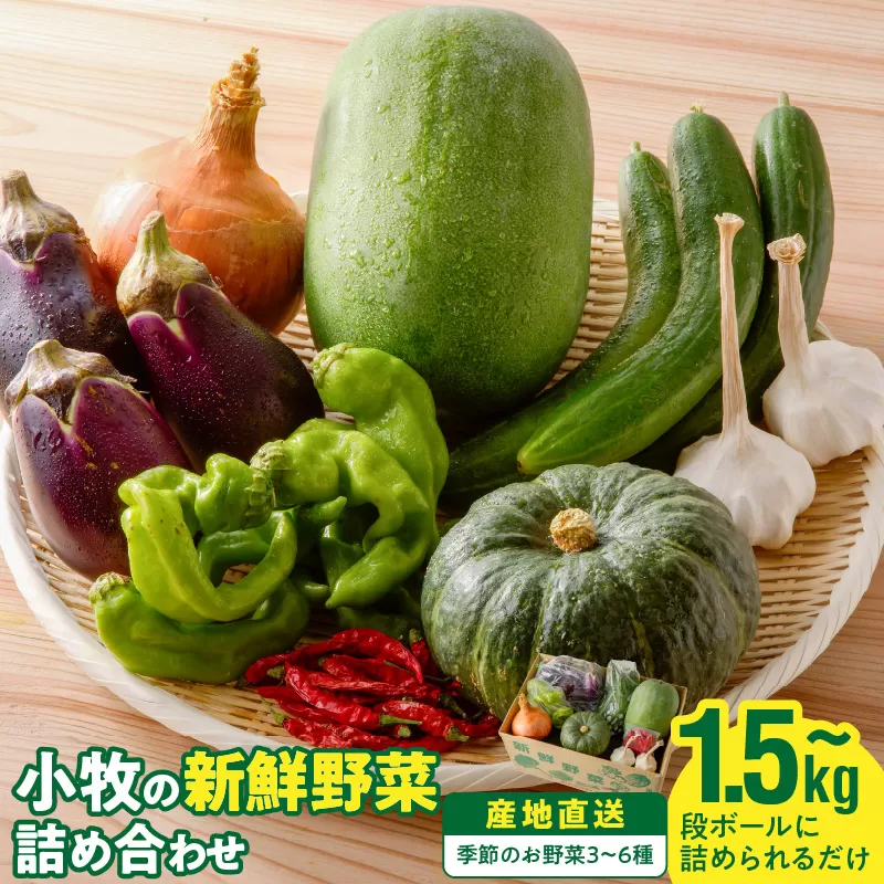 ネオコスモ農園で採れた小牧の野菜詰め合わせ［124N01］