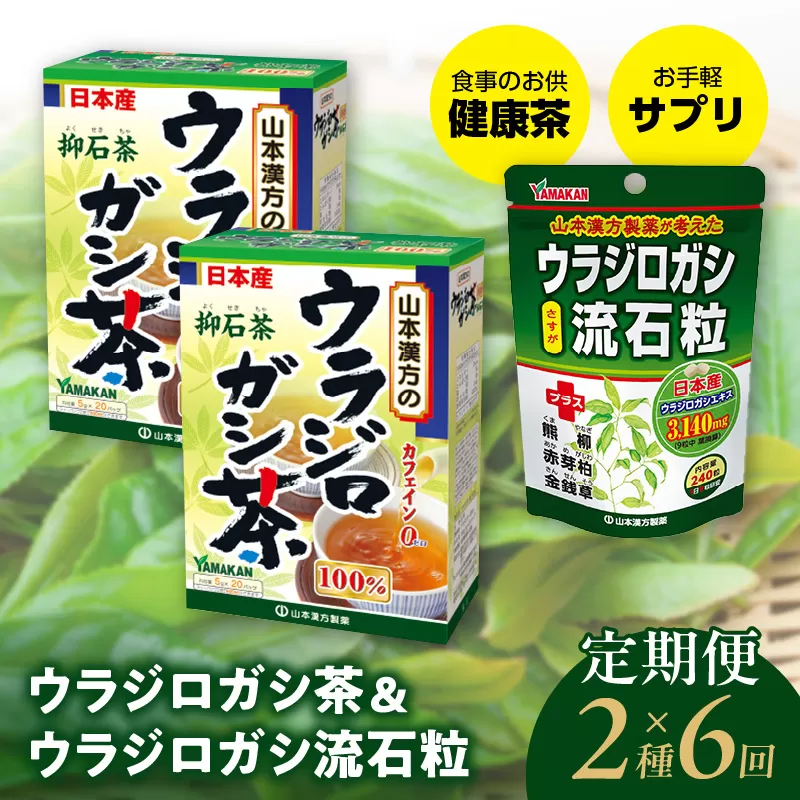 ＜6ヶ月連続＞ウラジロガシ茶＆ウラジロガシ 流石粒［027Y33-T］　山本漢方　定期便