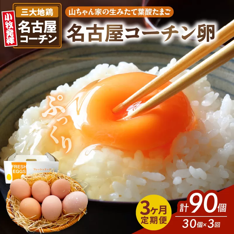 【3ヶ月定期便】【山ちゃん家の生みたて葉酸たまご】名古屋コーチン卵（30個入り）［132Y01-T］