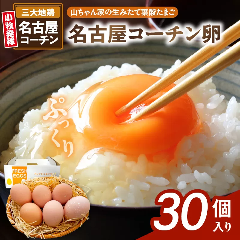 [山ちゃん家の生みたて葉酸たまご]名古屋コーチン卵(30個入り)[132Y01]名古屋コーチン 卵 たまご 朝食 卵料理 卵かけご飯 卵焼き 目玉焼き お取り寄せ 愛知県 小牧市