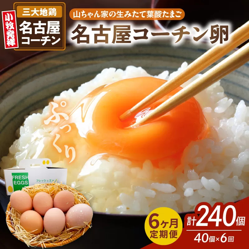 【6ヶ月定期便】【山ちゃん家の生みたて葉酸たまご】名古屋コーチン卵（40個入り）［132Y04-T］