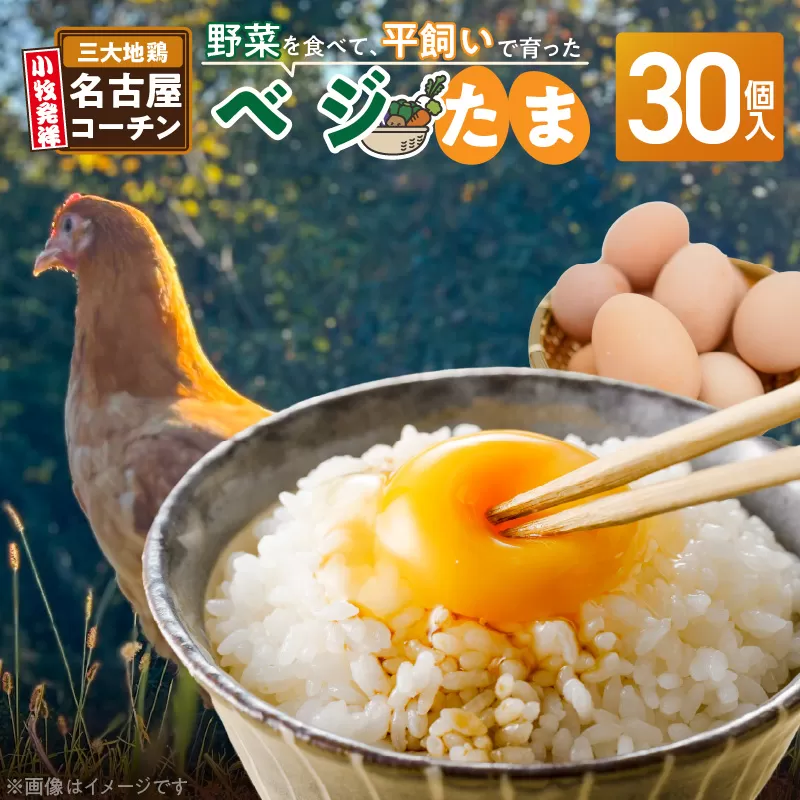 【医師監修】野菜を食べて育った平飼いの卵「名古屋コーチン ベジたま」（30個入り）［154T01］