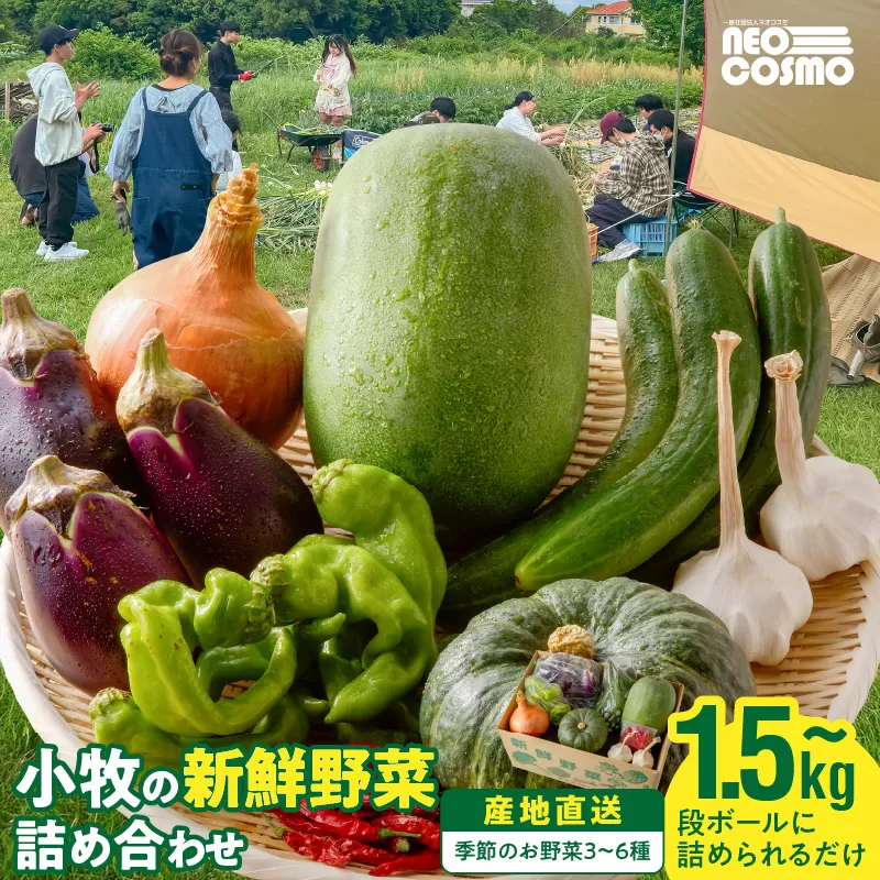 ★障がい者支援施設応援品★ ネオコスモ農園で採れた小牧の野菜詰め合わせ［124N02］