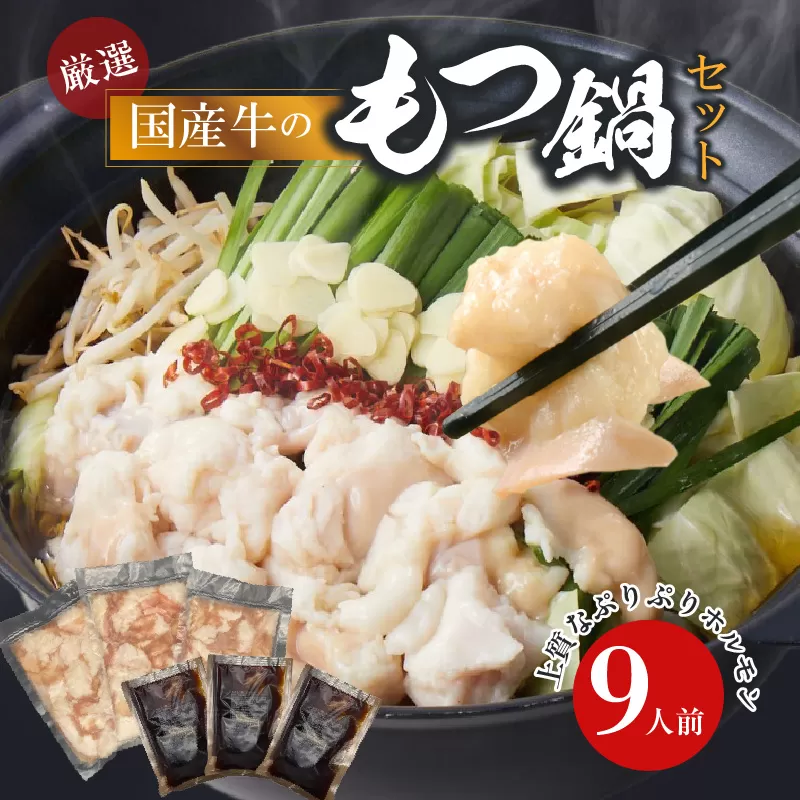 【食肉総合卸 丸正】厳選国産牛のもつ鍋セット（9人前）［153M01］