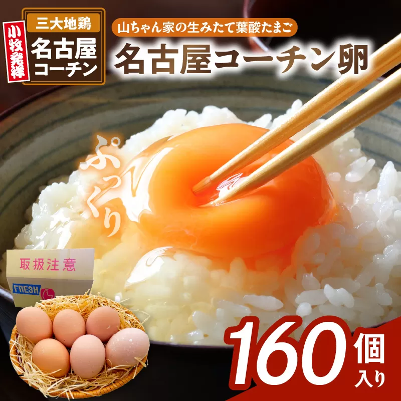 【山ちゃん家の生みたて葉酸たまご】名古屋コーチン卵（160個入り）［132Y04］　名古屋コーチン 卵 たまご 朝食 卵料理 卵かけご飯 卵焼き 目玉焼き お取り寄せ 愛知県 小牧市
