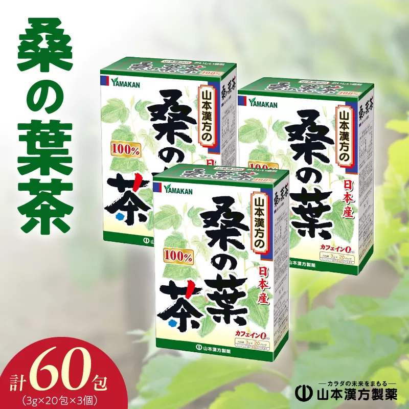 桑の葉茶