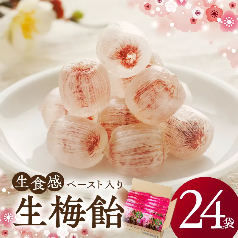 生梅飴 梅飴 梅キャンディ 紀州の南高梅 梅肉エキス ペースト お菓子 あめ キャンディー 飴 個包装 袋 リボン RIBON[109R02]