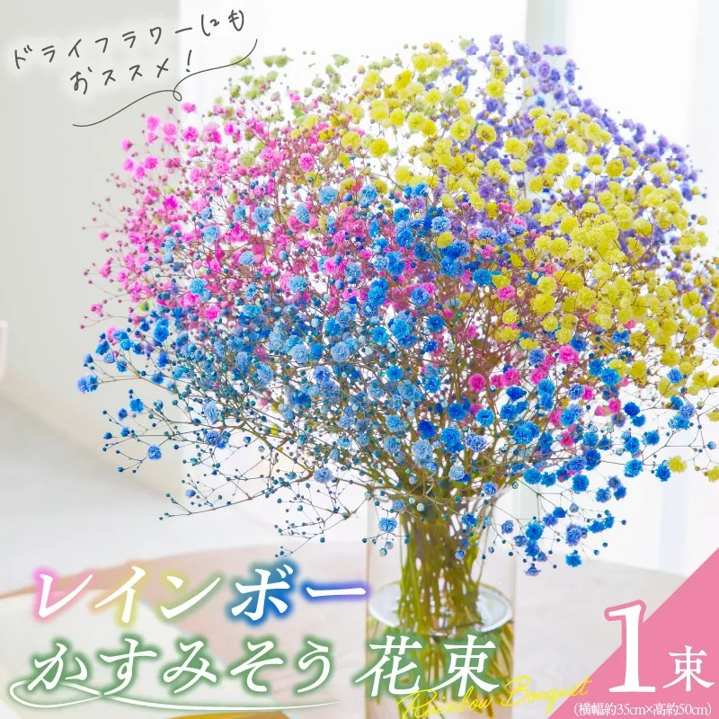 【佳花園】レインボーかすみそう 花束［156K03］