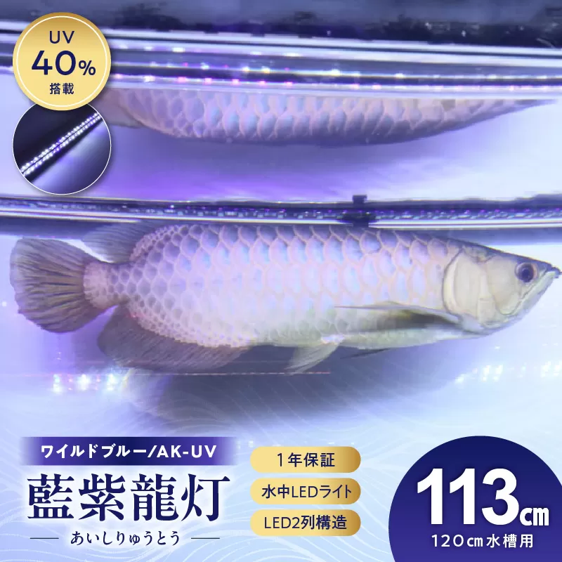 スリム&高耐久!金龍を美しく、UV-Aチップ配合の水中LED|AK-120UV-EX[172C15]藍底 金龍 ワイルドブルー 照射 水中 アロワナ UVチップ 水槽ライト テンニングライト LED ライト 照明 水中照明 光 綺麗 強化ガラス 1年保証 簡単 防水 吸盤 設置 でんらい インテリア 雑貨 愛知県 小牧市 送料無料