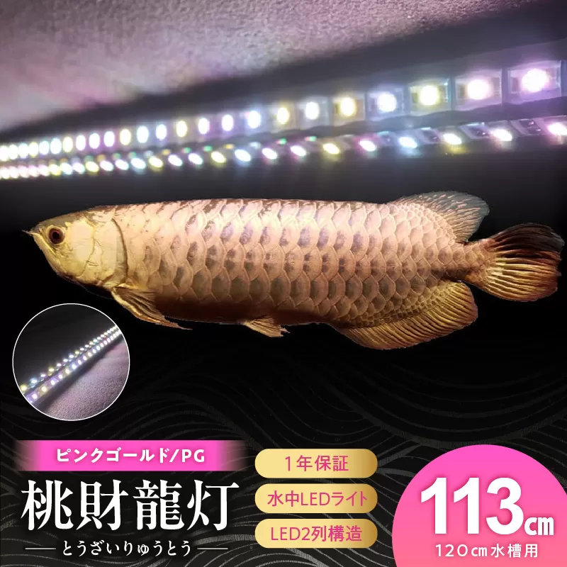 金龍の鱗を美しく照らす!ピンクゴールドの水中アロワナライト|PG120-EX[172C16]金龍 ピンクゴールド 照射 水中 アロワナ 水槽ライト テンニングライト LED ライト 照明 水中照明 光 綺麗 美観 強化ガラス 耐久性 1年保証 吸盤 簡単 設置 でんらい インテリア 雑貨 愛知県 小牧市 送料無料
