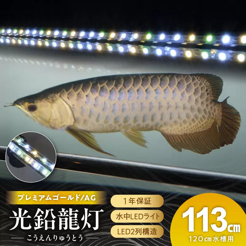 水槽全体を明るく照らし、鱗を際立たせる!金龍専用の高輝度水中ライト|AG120-EX[172C17]金龍 専用 プレミアムゴールド 水中 アロワナ 高輝度 水槽ライト テンニングライト グラデーション 3色 LED ライト 照明 水中照明 光 綺麗 強化ガラス 吸盤 1年保証 簡単 設置 でんらい インテリア 雑貨 愛知県 小牧市 送料無料