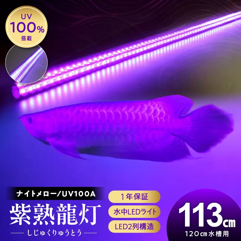 紫外線100%LEDで紅龍・金龍の色彩を引出す水中ライト|UVA100-120EX[172C22]紅龍 金龍 ナイトメロー 水中 アロワナ 水槽ライト テンニングライト 紫外線 100% LED ライト 照明 水中照明 光 綺麗 強化ガラス 吸盤 1年保証 簡単 設置 でんらい インテリア 雑貨 愛知県 小牧市 送料無料