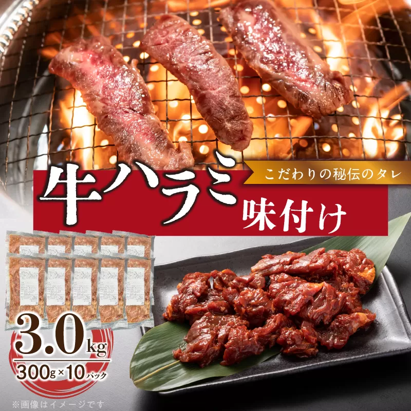 【食肉総合卸 丸正】牛ハラミ味付け 3.0kg［153M15］