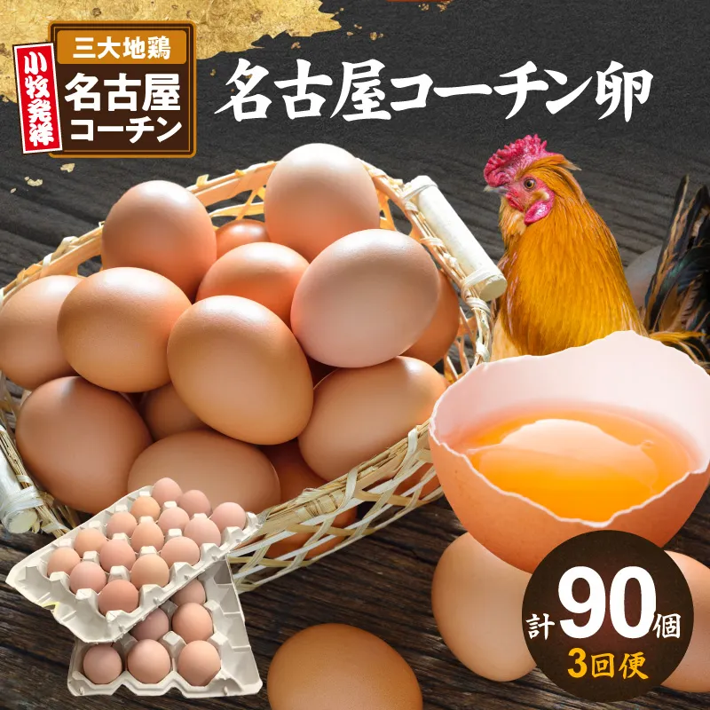 【3回便】名古屋コーチン卵(30個入り)×3回（計90個）定期便 名古屋コーチン 卵 たまご 朝食 卵料理 卵かけご飯 卵焼き 目玉焼き 河瀬養鶏 お取り寄せ 愛知県 小牧市