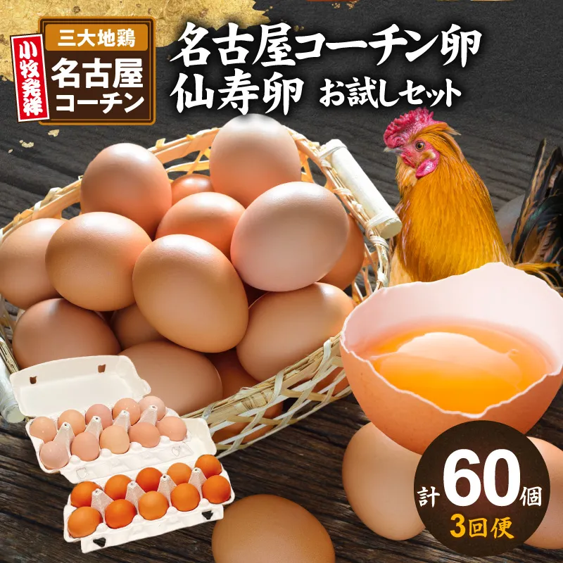 【3回便】名古屋コーチン卵・仙寿卵お試しセット（各10個入り）×3回（計各30個）定期便 名古屋コーチン 卵 たまご 仙寿卵 朝食 卵料理 卵かけご飯 卵焼き 目玉焼き 河瀬養鶏 お取り寄せ 愛知県 小牧市