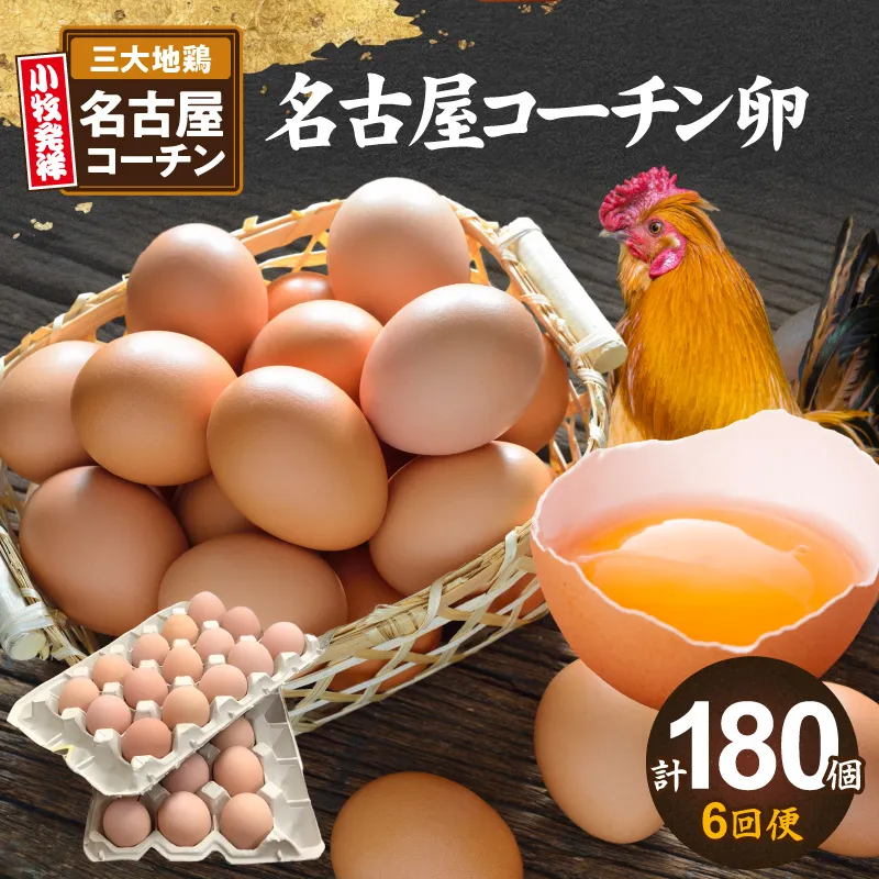 【6回便】名古屋コーチン卵(30個入り)×6回（計180個）定期便 名古屋コーチン 卵 たまご 朝食 卵料理 卵かけご飯 卵焼き 目玉焼き 河瀬養鶏 お取り寄せ 愛知県 小牧市