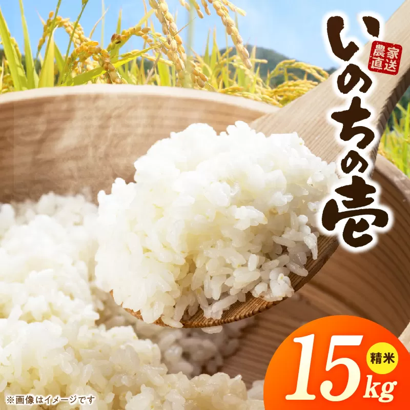 R7年産　「いのちの壱」（15kg）＜農家直送＞ ［208K11］ 希少米 15kg 米 精米 白米 ご飯 国産 産地直送 甘い 粘り強い もちもち お取り寄せ こだわり米 愛知県 小牧市 送料無料