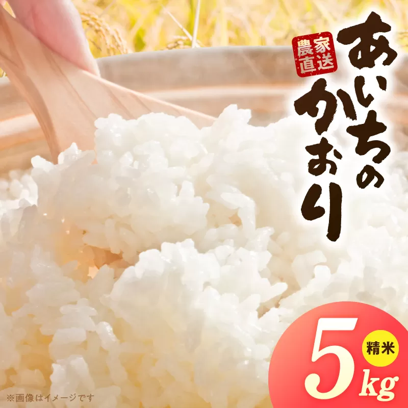 R7年産　「あいちのかおり」（5kg）＜農家直送＞ ［208K13］ 5kg 米 精米 白米 ご飯 国産 産地直送 ふくよかな甘み ほどよい粘り お取り寄せ 愛知県 小牧市 送料無料