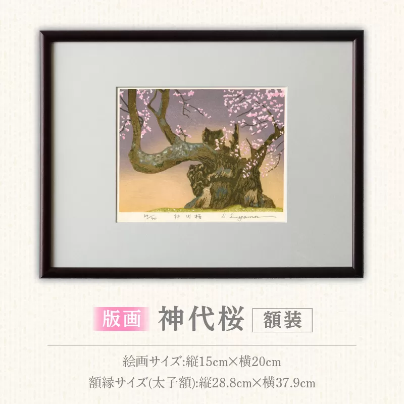 版画「神代桜」 ［201M08］ 版画 神代桜 桜 特別天然記念物 日本三大桜 額装 絵画 木版画家 陶山俊一 小牧市在住 日本 自然 風景 モチーフ 遠近感 質感 木版画 アート アート作品 インテリア 壁掛け 絵 美術品 工芸品 風景画 自然画 愛知県 小牧市 送料無料