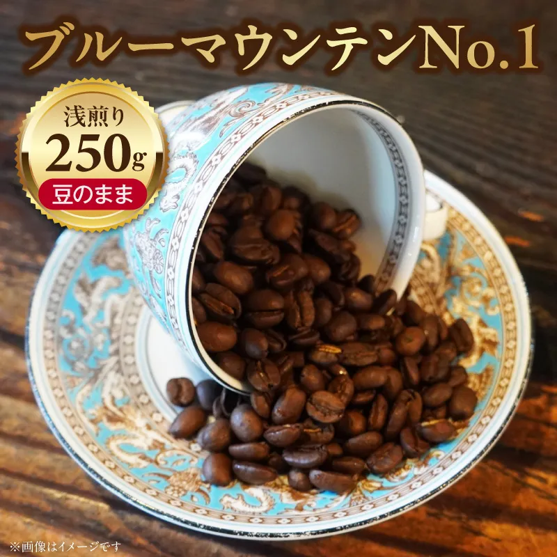 ブルーマウンテンＮｏ．１（豆のまま） ［104T03］ ブルーマウンテンNo.1 豆のまま コーヒー好き 豆香館 日本人の味覚 相性が良い 高級豆 ブルーマウンテン 浅煎り コーヒーの王様 ジャマイカ 深い味わい 上品な味 コーヒー ご褒美 プレゼント用 ギフト用 愛知県 小牧市 送料無料