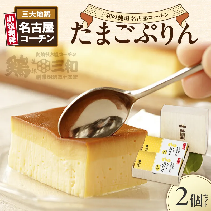 三和の純鶏名古屋コーチンたまごぷりん2個セット　小牧市