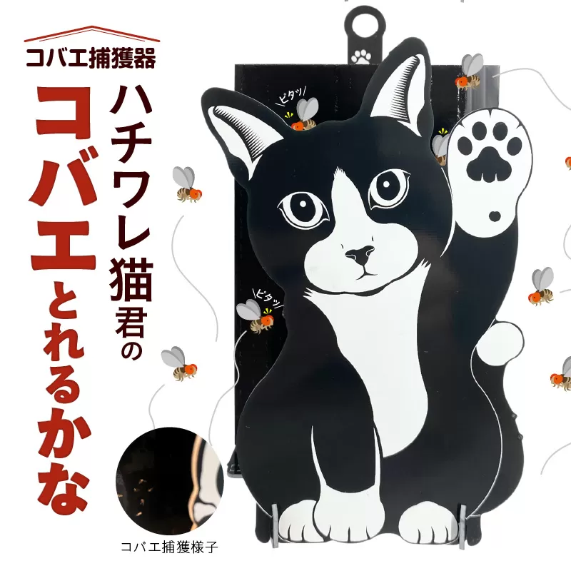 ハチワレ猫君の「コバエとれるかな」