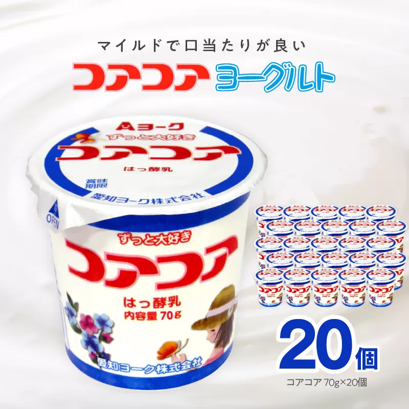 愛知ヨーク　コアコアヨーグルト　20個入　ヨーグルト デザート 健康 給食 保育園 幼稚園 小学校 中学校 支援学校 病院 高齢者施設 ［108A01]