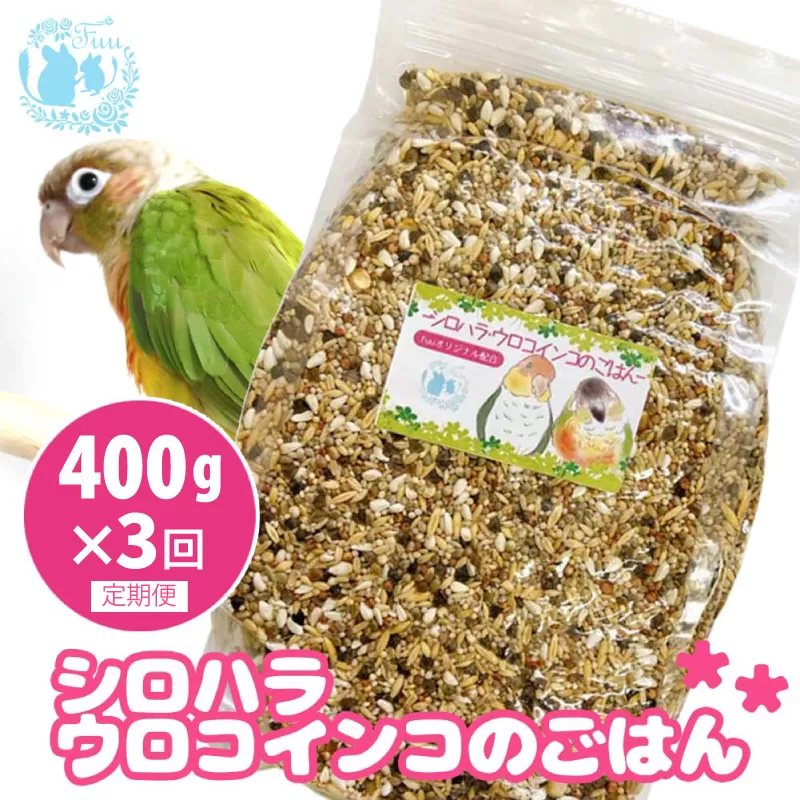 【3ヶ月定期便】fuu シロハラインコ・ウロコインコのごはん（400g）［145S56-T］