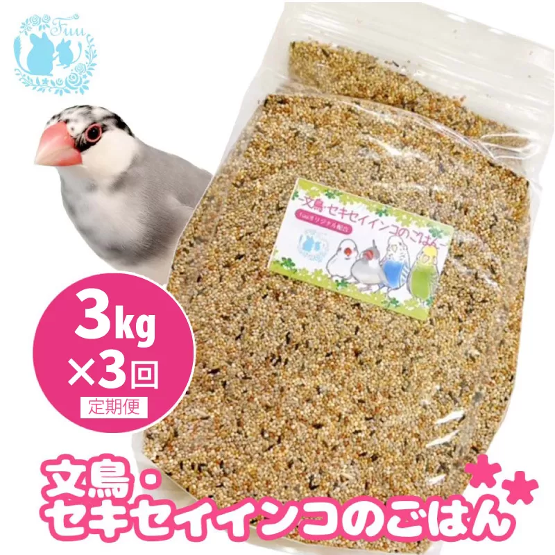 【3ヶ月定期便】fuu 文鳥・セキセイインコのごはん（3kg）［145S46-T］