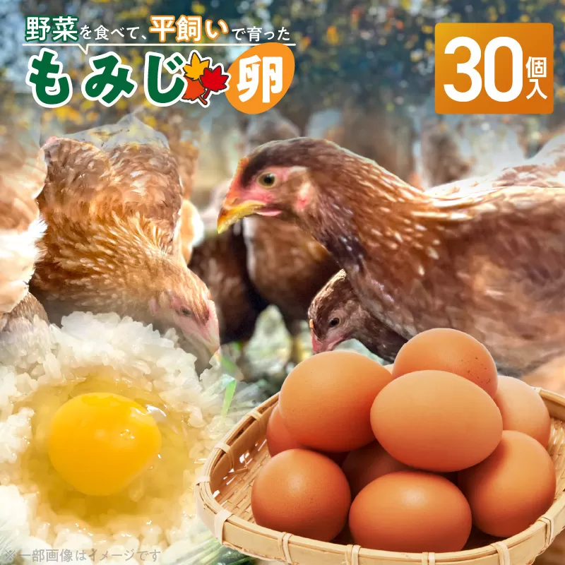 【医師監修】野菜を食べて育った平飼いの卵「もみじ卵」（30個入り）［154T02］