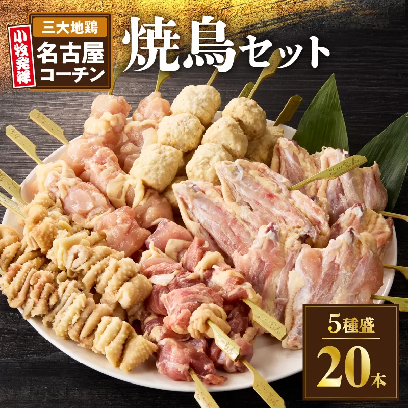 名古屋コーチン焼鳥　5種20本セット（もも・むね・手羽中・皮・つくね）　小牧市