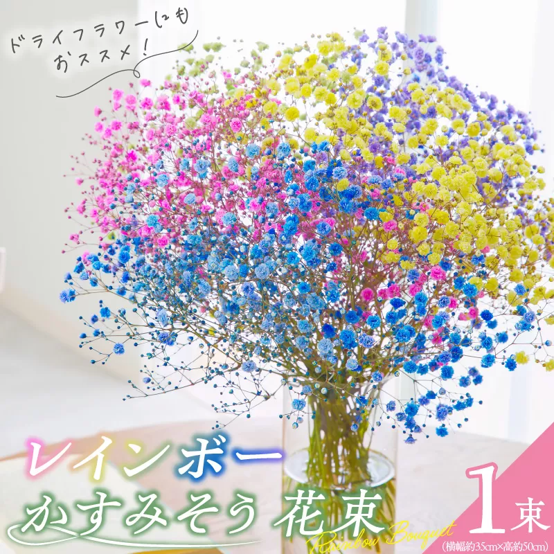 【佳花園】レインボーかすみそう 花束［156K03］