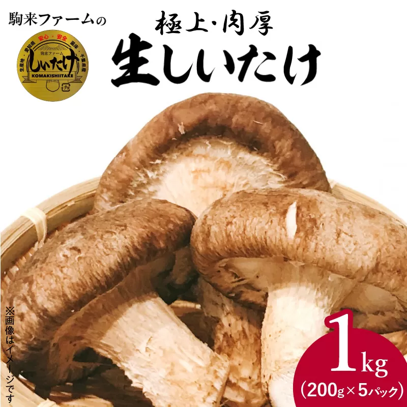 駒来ファームの 極上・肉厚 生しいたけ［131L01］極上 肉厚 生しいたけ 生シイタケ 生椎茸 安心 安全 国産 採れたて 新鮮 きのこ 野菜